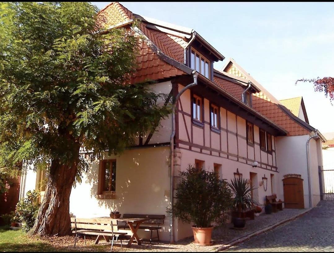 Schadeleben Pension Robinienhof מראה חיצוני תמונה